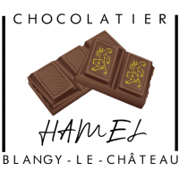 Logo chocolatier hamel